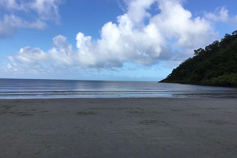 Daintree Luxury Limousine Tour - Full Day - Accommodation Redcliffe 6