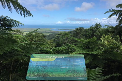 Daintree Luxury Limousine Tour - Full Day - Accommodation Redcliffe 0