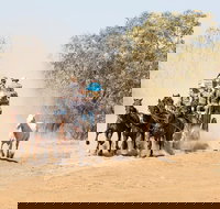 Cobb and Co Stagecoach Experience - Accommodation Redcliffe