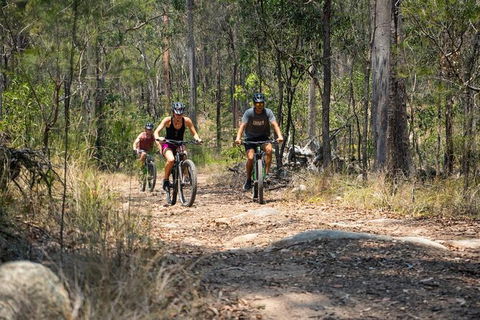 EMtn Bike + Brewery Day Tour - Accommodation Redcliffe 21