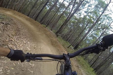 EMtn Bike + Brewery Day Tour - Accommodation Redcliffe 2