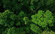 Cairns & Port Douglas All-Inclusive 7 Days Touring Package - thumb 3