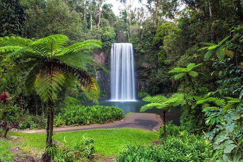 Cairns & Port Douglas All-Inclusive 7 Days Touring Package - Accommodation Redcliffe 5