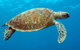 Cairns & Port Douglas All-Inclusive 7 Days Touring Package - thumb 1
