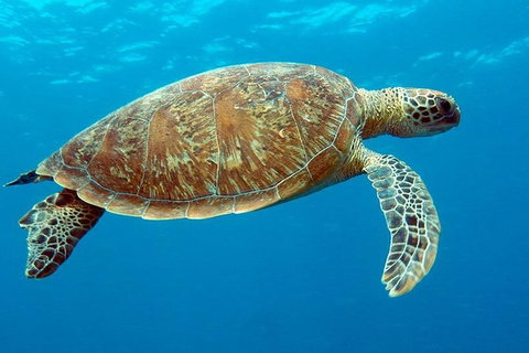 Cairns & Port Douglas All-Inclusive 7 Days Touring Package - Accommodation Redcliffe 1