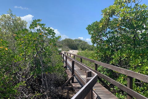 Hinchinbrook Island Tour - Accommodation Redcliffe 4