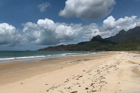 Hinchinbrook Island Tour - Accommodation Redcliffe 3