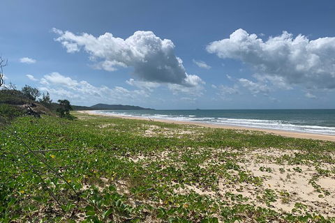 Hinchinbrook Island Tour - Accommodation Redcliffe 5