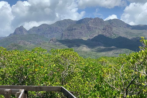 Hinchinbrook Island Tour - Accommodation Redcliffe 0