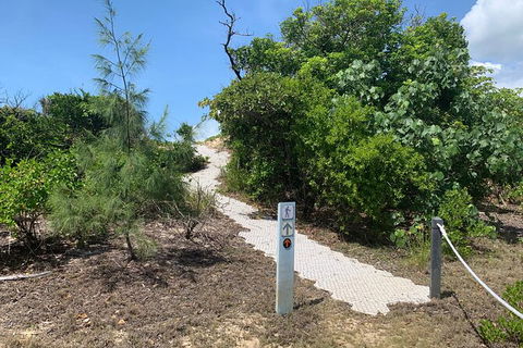 Hinchinbrook Island Tour - Accommodation Redcliffe 1