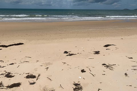 Hinchinbrook Island Tour - Accommodation Redcliffe 6
