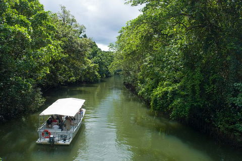 World Heritage Highlights: Reef/Daintree/Cape Tribulation - Accommodation Redcliffe 1