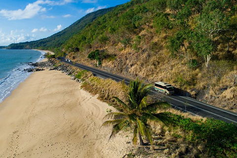 World Heritage Highlights: Reef/Daintree/Cape Tribulation - Accommodation Redcliffe 5