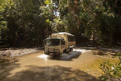 World Heritage Highlights: Reef/Daintree/Cape Tribulation - Accommodation Redcliffe 6