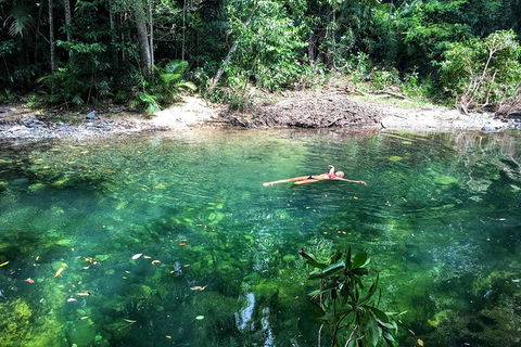 World Heritage Highlights: Reef/Daintree/Cape Tribulation - Accommodation Redcliffe 4