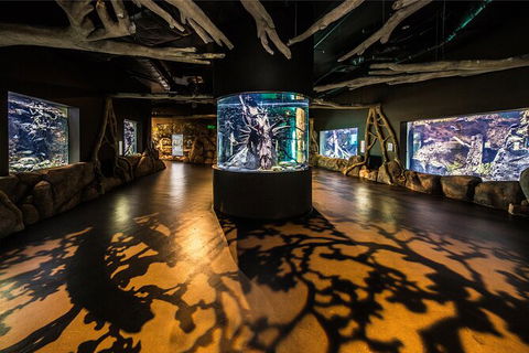 Cairns Aquarium Tour By Twilight With Drink And Appetiser - Accommodation Redcliffe 4