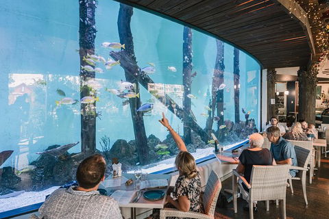 Cairns Aquarium Tour By Twilight With Drink And Appetiser - Accommodation Redcliffe 1