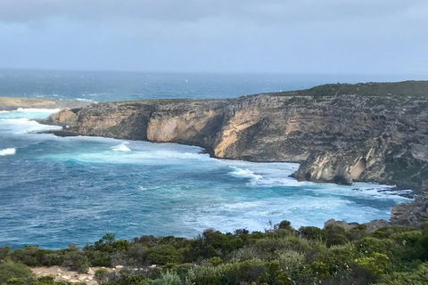 Kangaroo Island Scenic Trail Tour - Accommodation Redcliffe 4