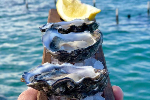 Coffin Bay Oysters, Ocean & Nature Tour - Accommodation Redcliffe 0