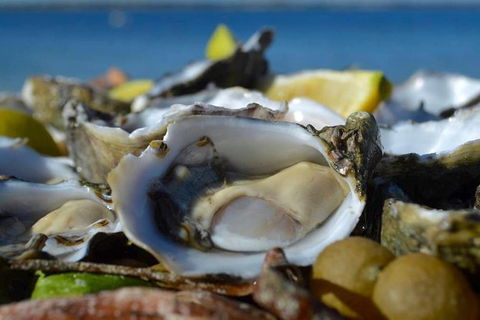 Coffin Bay Oysters, Ocean & Nature Tour - Accommodation Redcliffe 8
