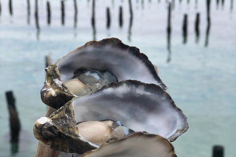 Coffin Bay Oysters, Ocean & Nature Tour - Accommodation Redcliffe 6