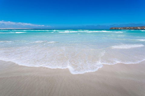 Coffin Bay Oysters, Ocean & Nature Tour - Accommodation Redcliffe 14