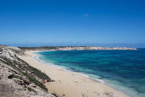 Coffin Bay Oysters, Ocean & Nature Tour - Accommodation Redcliffe 16