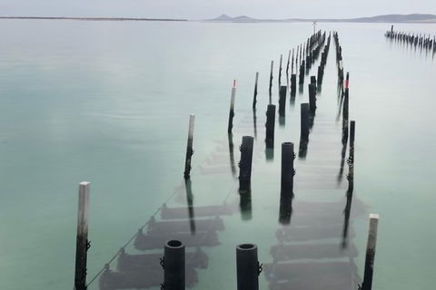 Coffin Bay Oysters, Ocean & Nature Tour - Accommodation Redcliffe 15