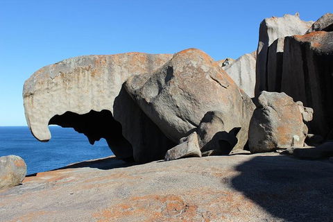 Kangaroo Island Personal Group Tours - Accommodation Redcliffe 3