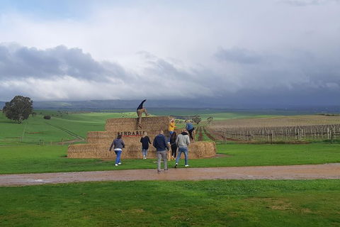 Private Wine Tour - Accommodation Redcliffe 4