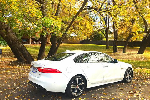 Luxury Jaguar Barossa Valley Half Day Private Tour For 2 - Accommodation Redcliffe 0
