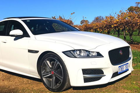 Luxury Jaguar Barossa Valley Half Day Private Tour For 2 - Accommodation Redcliffe 3