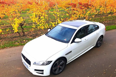 Luxury Jaguar Barossa Valley Half Day Private Tour For 2 - Accommodation Redcliffe 2