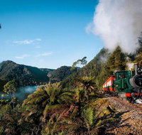 West Coast Wilderness Railway Rack and Gorge from Queenstown - Accommodation Redcliffe