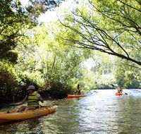 Paddle with the Platypus Twilight Kayak Adventure - Accommodation Redcliffe