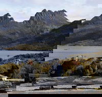 Cruise Ship Special from Burnie to Cradle Mountain - Accommodation Redcliffe