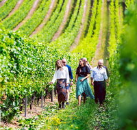 Tasmanian Wine Tour - Accommodation Redcliffe