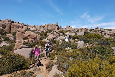 Alpine Loop - Accommodation Redcliffe 2