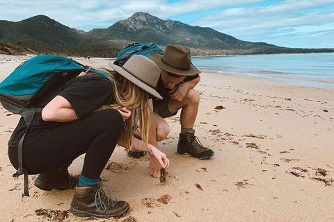 Freycinet Walking Tour - Accommodation Redcliffe 0