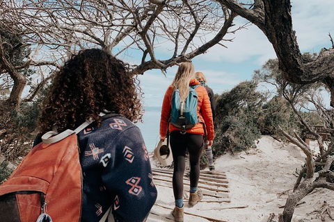 Freycinet Walking Tour - Accommodation Redcliffe 6