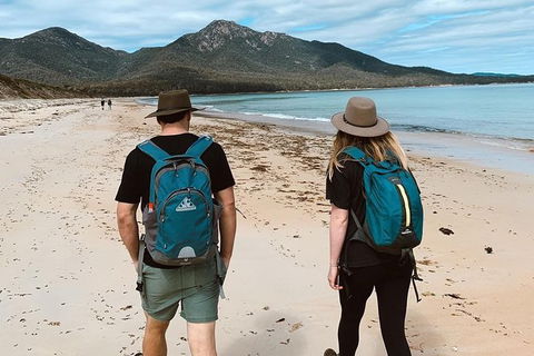 Freycinet Walking Tour - Accommodation Redcliffe 7