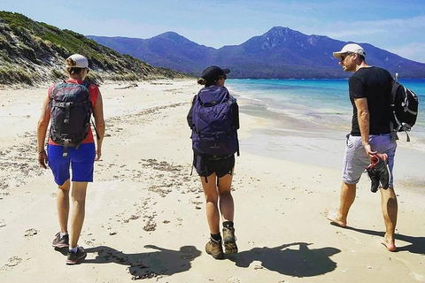 Freycinet Walking Tour - Accommodation Redcliffe 1