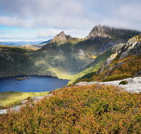 Cradle Mountain Private Charter Service - Accommodation Redcliffe