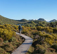 Hartz Mountains premium private photo-oriented day tour from Hobart - Accommodation Redcliffe