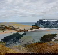 Shore Excursion Coast Caves and Wildlife Park - 8 hour tour - Accommodation Redcliffe
