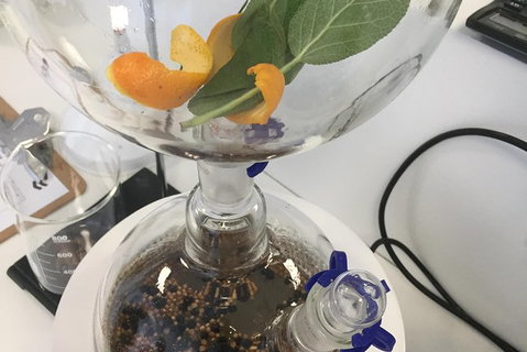 Master Gin Making Classes - Accommodation Redcliffe 3