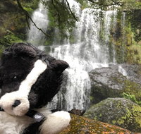 Waterfalls Guided Tour - Accommodation Redcliffe