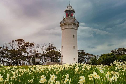 Table Cape Lighthouse Tours - Accommodation Redcliffe 7