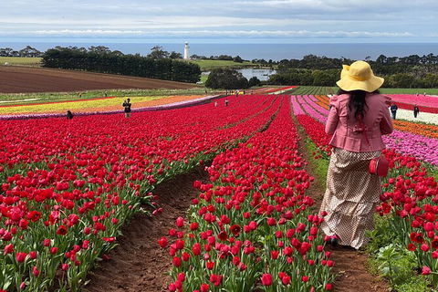 Table Cape Lighthouse Tours - Accommodation Redcliffe 0