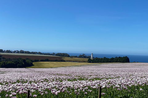 Table Cape Lighthouse Tours - Accommodation Redcliffe 8